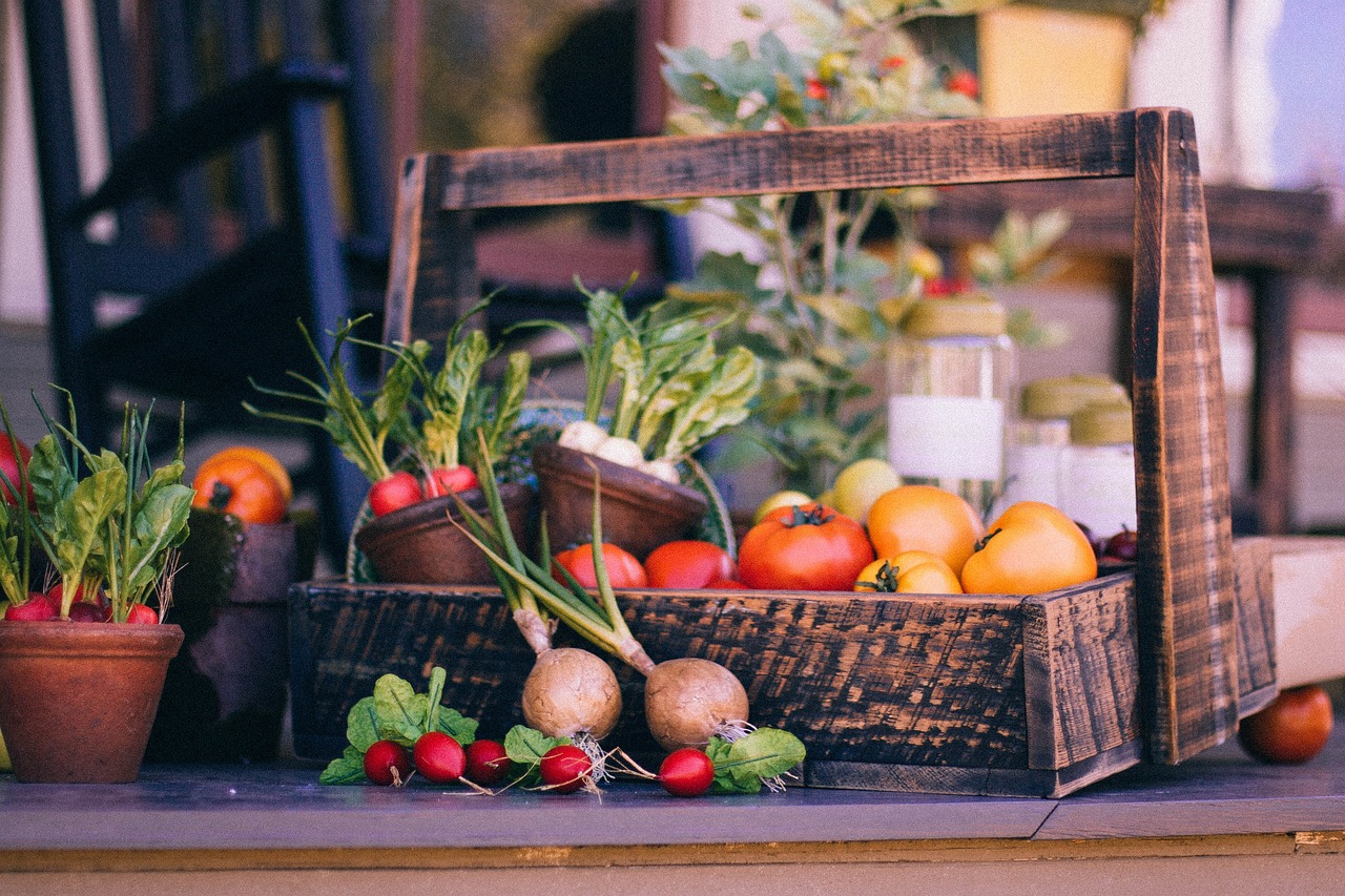 How to Create a Vegetable Patch in Your Backyard